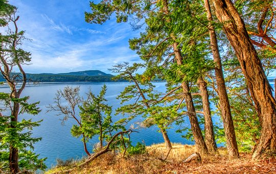 Rosario Waterfront Home